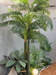 -八佰伴8008星级形象店