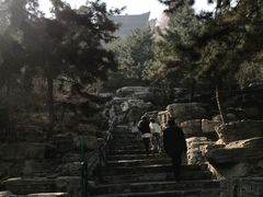 景点-景山公园