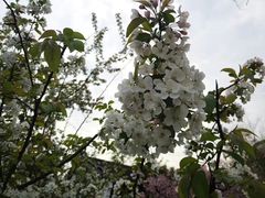-荆川公园