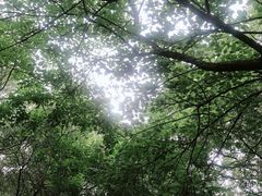 -东湖落雁景区