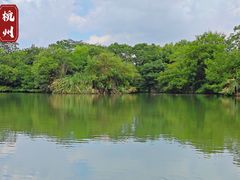 -西溪国家湿地公园