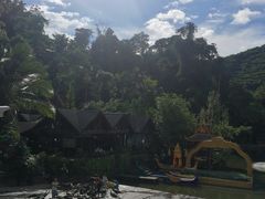 -西双版纳原始森林公园