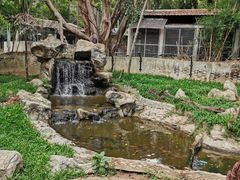 -清迈夜间动物园