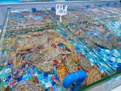 -小海丁