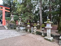-奈良公园