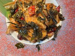 -菌自由丨野生菌火锅特色庭院餐厅(丽江古城店)