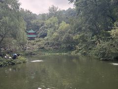 -岳麓山风景名胜区