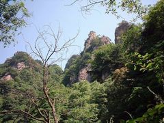 -王顺山国家森林公园