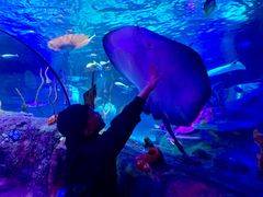 -沈阳海洋探索中心