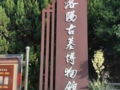 -洛阳古墓博物馆