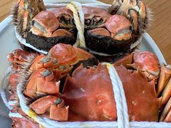 -品鲜村农家菜·阳澄湖大闸蟹(总店)