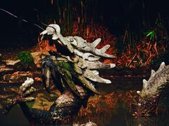 -汇龙潭