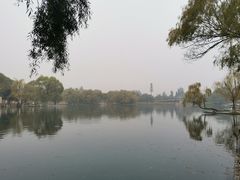 -百脉泉景区