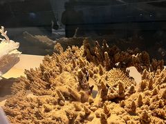 -天津自然博物馆