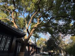 -包公祠