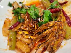 -新白鹿餐厅(城西银泰城店)