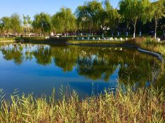 -西海子公园