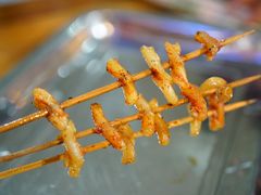 -舌尖上的石棉何雨露烧烤