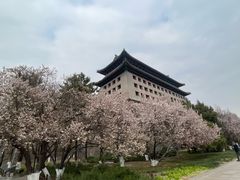 -北京明城墙遗址公园
