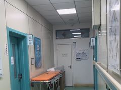 -北京观赏动物医院·24小时大型综合·猫专科·异宠专科