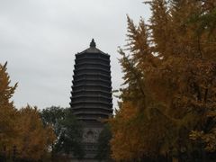 -玲珑塔公园