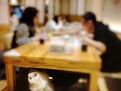 -Pets First伊珊娜洗护·精致美容·家庭式寄养(新会路店)
