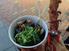 黑色经典臭豆腐-黑色经典臭豆腐·湖南特产(坡子街店)