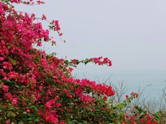 -涠洲岛火山国家地质公园