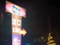 -枫花园汽车电影院(朝阳公园店)