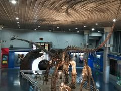 -国家自然博物馆