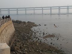 -星海湾跨海大桥
