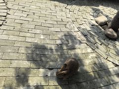 -祥源·阜阳生态乐园