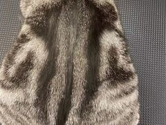 -comecome来吧宠物(奥克斯中心店)