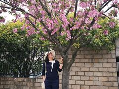 -嘉定紫藤园