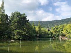 -宝岩生态观光园