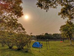 -艾溪湖湿地公园