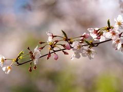 -龙美术馆(西岸馆)