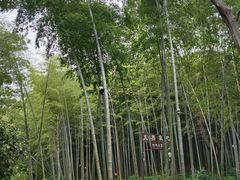 -宝岩生态观光园