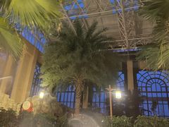 -郑州银基黄帝宫御温泉