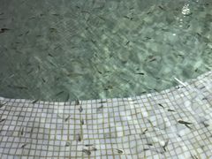 -汉拿山温泉度假酒店