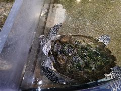 -青岛海底世界-水族馆