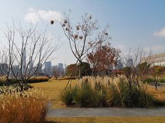 -丹东路渡口(轮渡站)