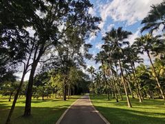 -中国科学院西双版纳热带植物园