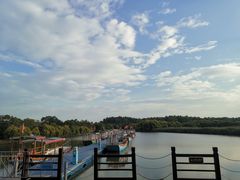 -大湾区中央湿地公园