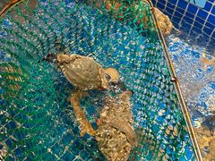 -小时候焗海鲜(鄞州万达店)