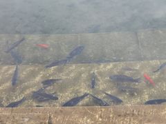 -水磨沟公园