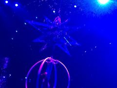 -珠海横琴长隆《卡卡虎奇遇记》