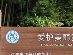 -黄山风景区