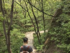 -北京凤凰岭