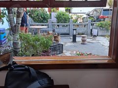 -野渡坡·极致湘菜·庭院餐厅(汉阳店)